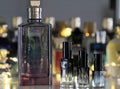 Sur Ma Peau - Dries Van Noten